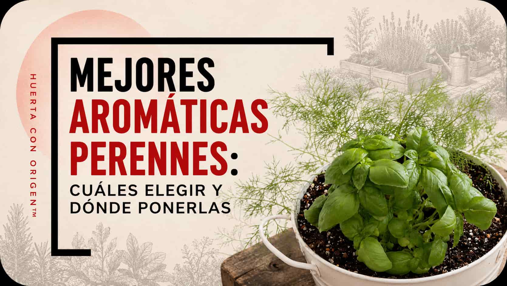 aromaticas-perennes-elegir-plantar