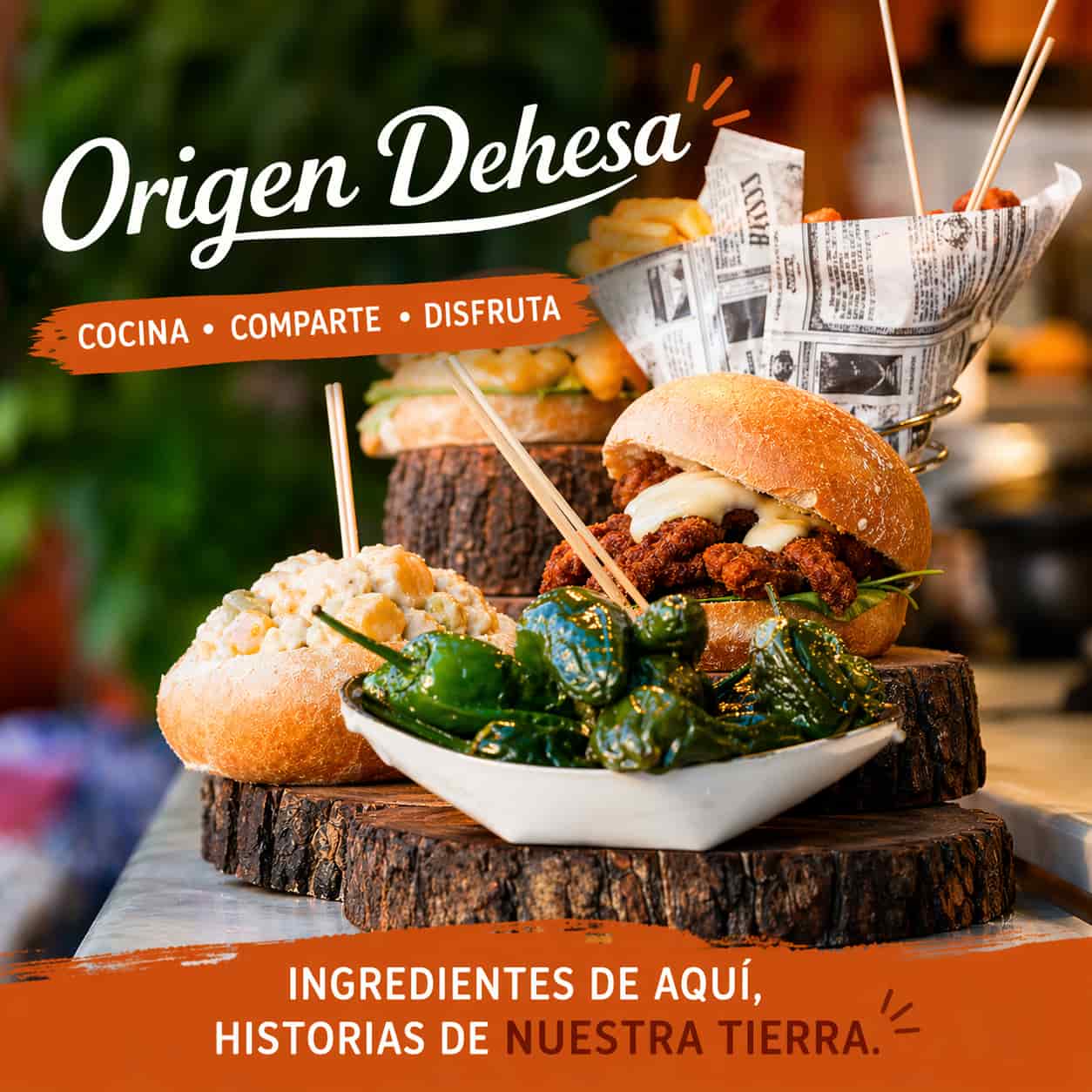 recetas-historias-de-aqui-origen-dehesa