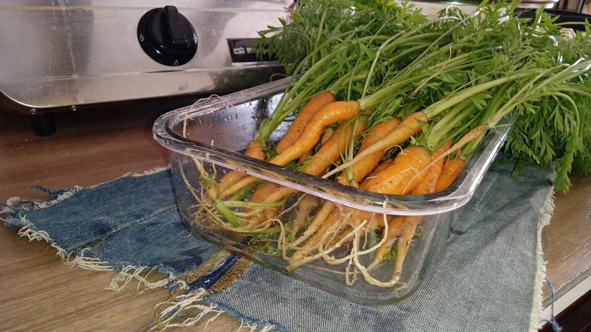 zanahorias-clareo